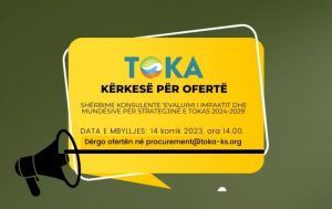 Request for offer for consulting services “Evaluation of the Impact and Opportunities for the Strategy of TOKA 2024-2029”