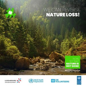 YES, we can reverse nature loss, if we protect it!